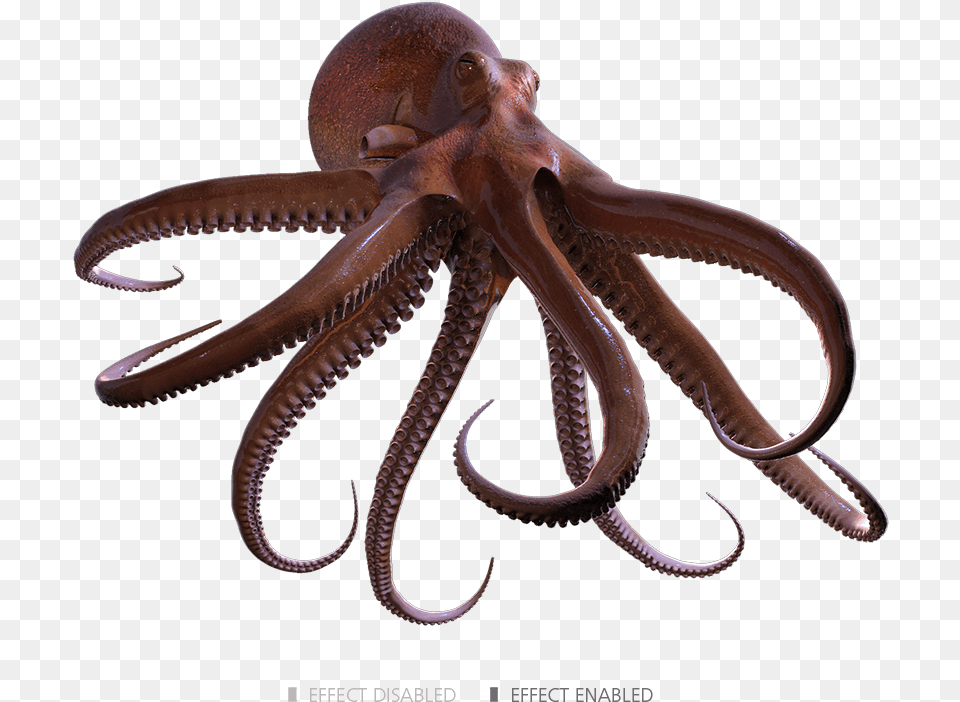 Octopus Render, Animal, Sea Life, Invertebrate, Insect Png Image