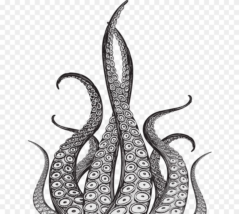Octopus Tentacles Pic Octopus Tentacles Drawing, Animal, Sea Life, Pattern, Art Free Transparent Png