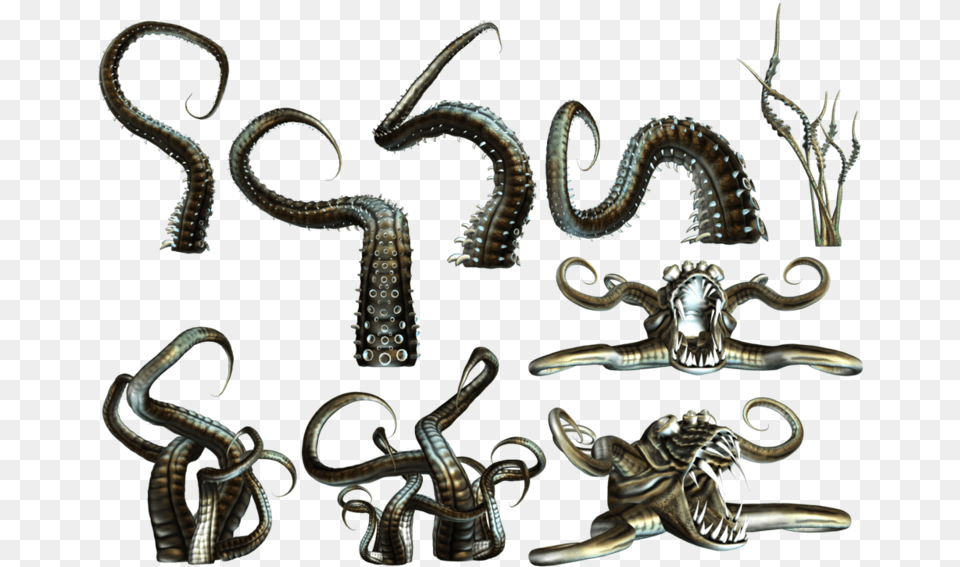 Octopus Tentacles Tentacle, Bronze, Accessories, Earring, Jewelry Free Png Download