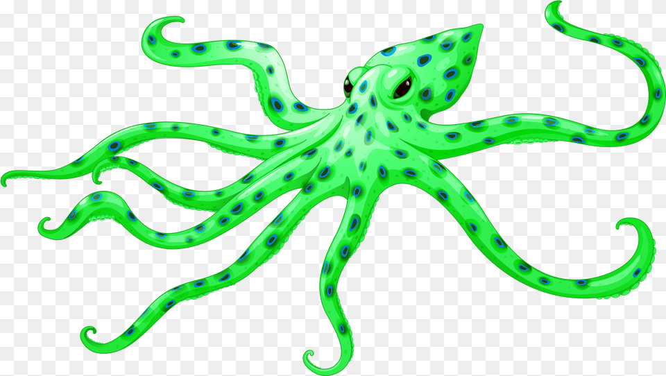 Octopus Background, Animal, Sea Life, Invertebrate Free Transparent Png