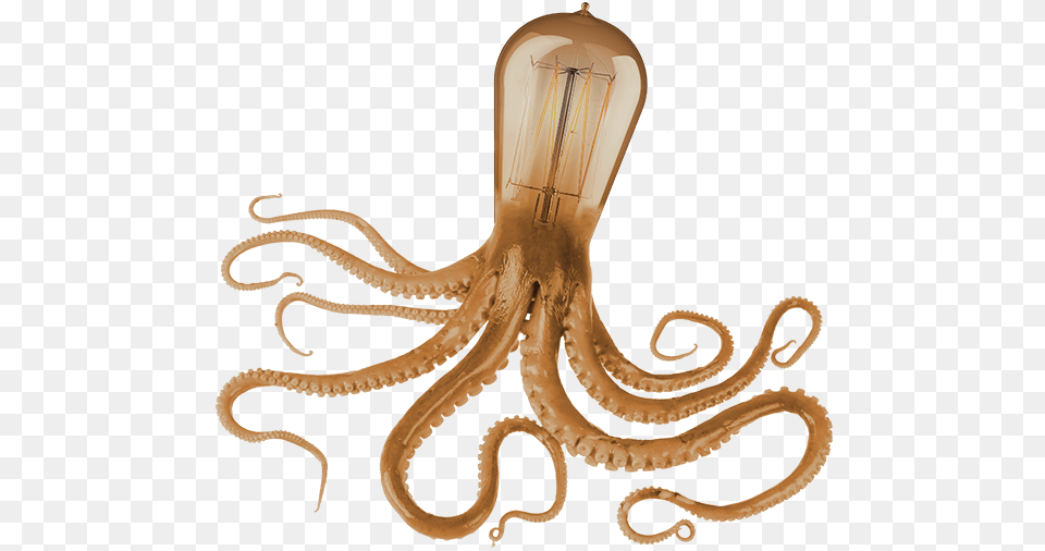 Octopus Underwater Art Only Octopus, Animal, Reptile, Snake, Sea Life Free Png