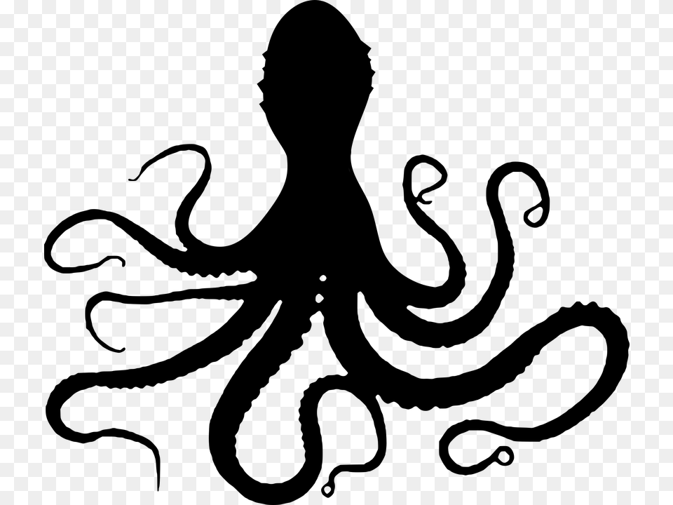 Octopuses, Gray Free Png Download