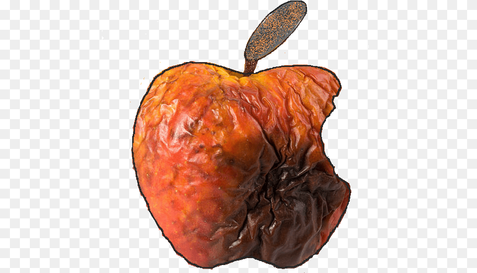 Ode To A Rotting Apple U2013 Designs Apple Bad, Food, Fruit, Plant, Produce Free Transparent Png