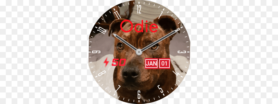 Odie Preview, Clock, Analog Clock, Animal, Canine Png Image