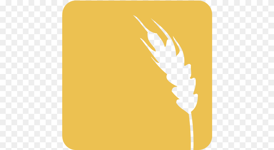 Odw Icon Illustration, Food, Grain, Produce, Wheat Free Png