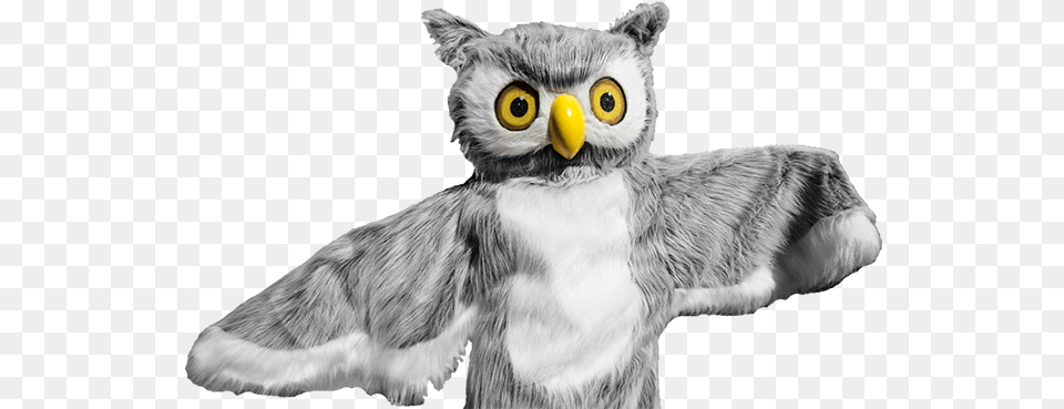 Ody Owl Snowy Owl, Art, Toy, Drawing, Animal Free Png Download