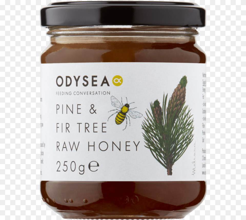 Odysea Pine U0026 Fir Tree Honey 250g Greek Honey Online Uk, Jar, Plant, Food, Animal Free Transparent Png