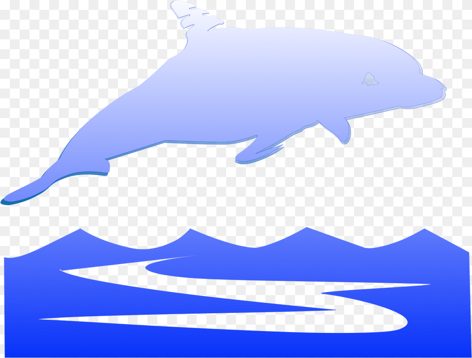 Of A Jumping, Animal, Dolphin, Mammal, Sea Life Png Image