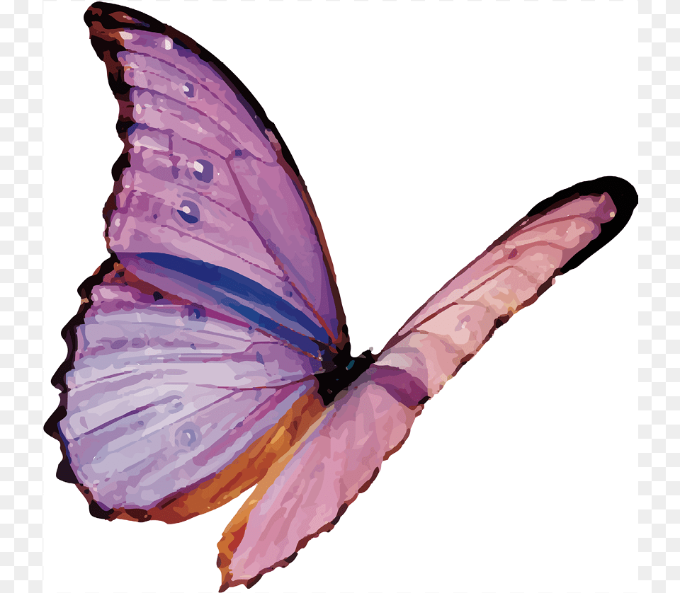 Of A Purple Butterfly Flying Moth, Animal, Insect, Invertebrate, Person Free Png