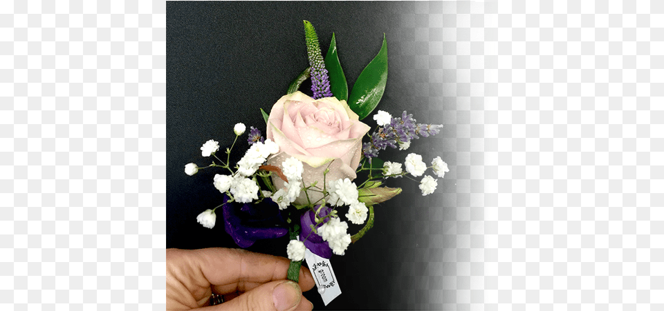 Of Ambleside Ambleside, Flower, Flower Arrangement, Flower Bouquet, Plant Png Image