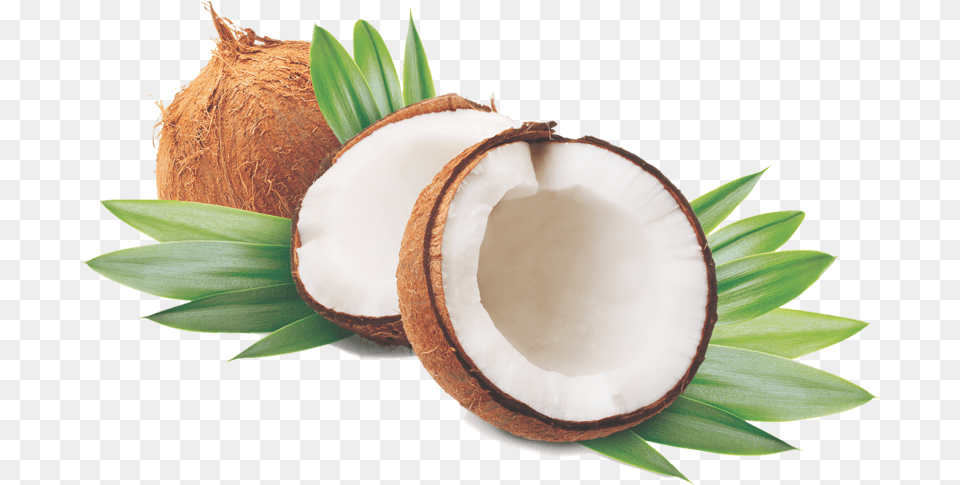 Of Coconut Oil, Food, Fruit, Plant, Produce Free Png