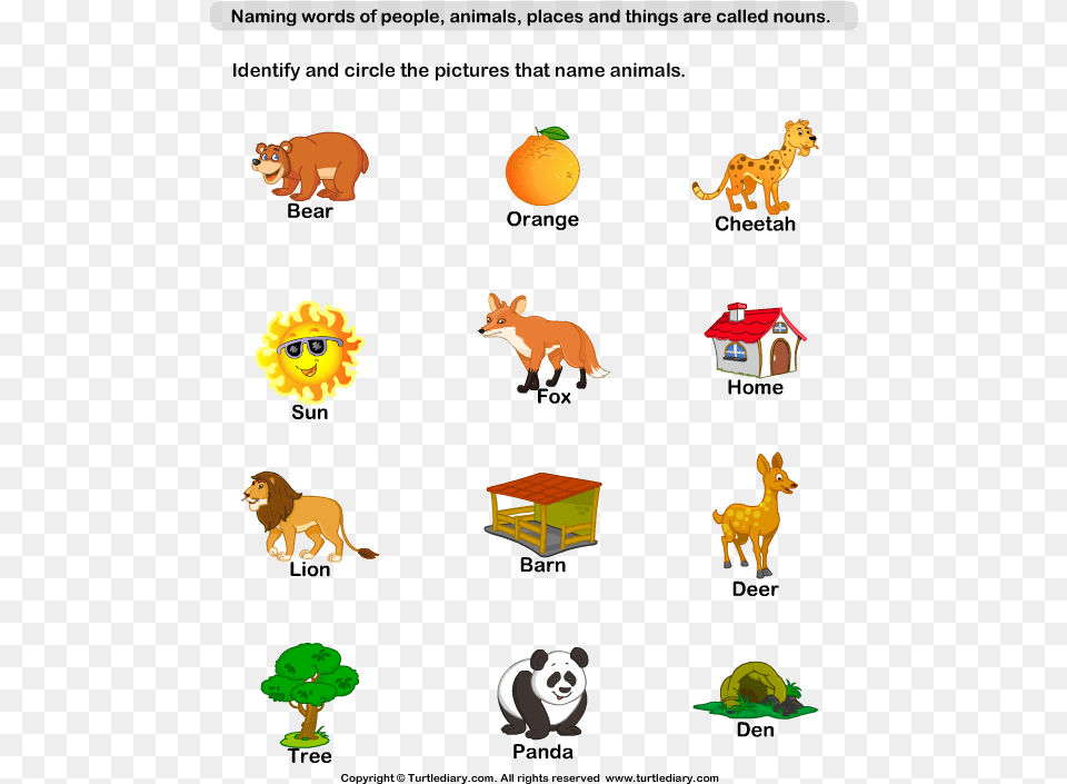 Of Example X Letter Adjectives Naming Animal Diary Naming Words For Things, Lion, Mammal, Wildlife, Bear Free Png Download