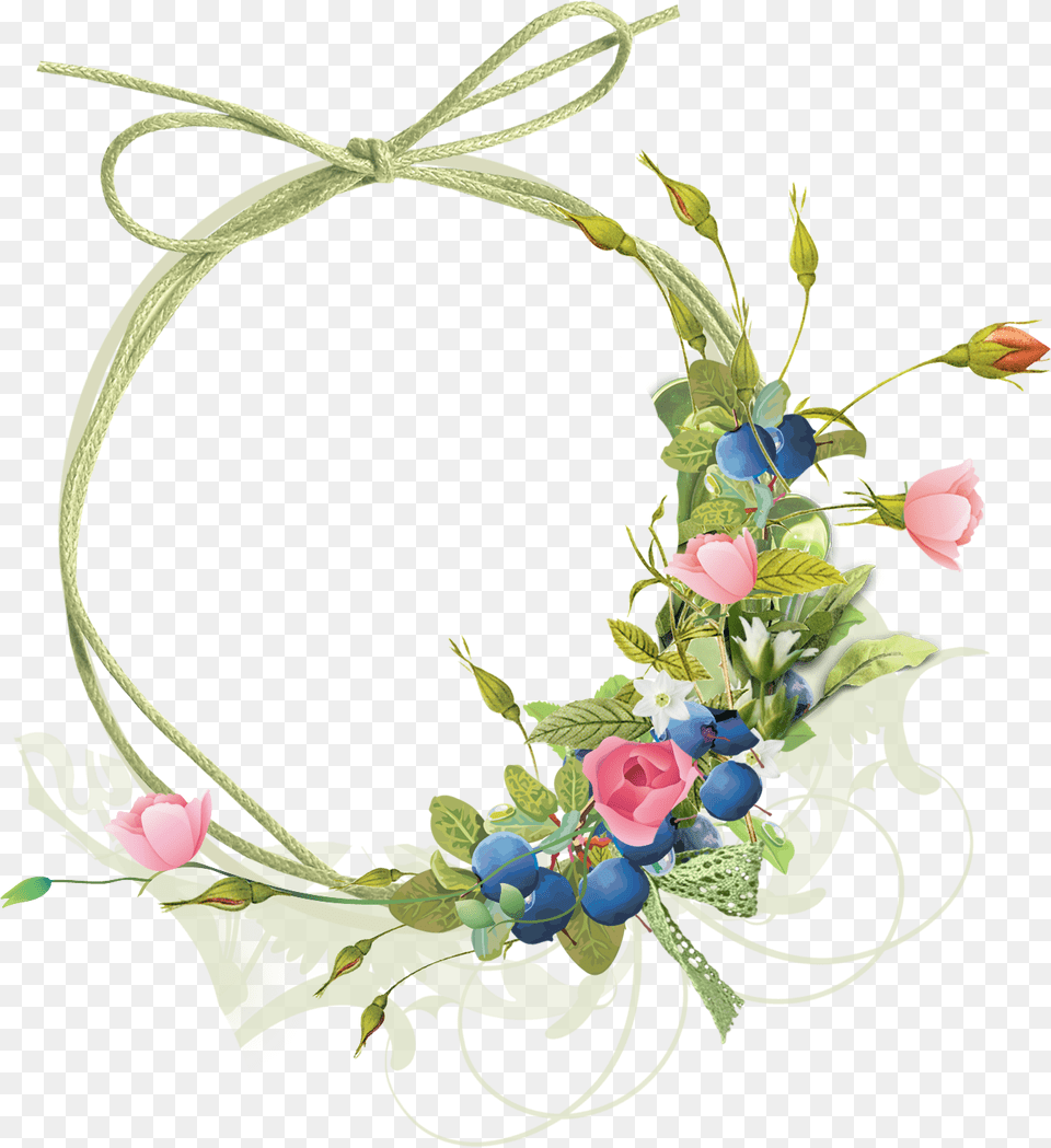 Of Frame, Plant, Art, Floral Design, Graphics Free Png