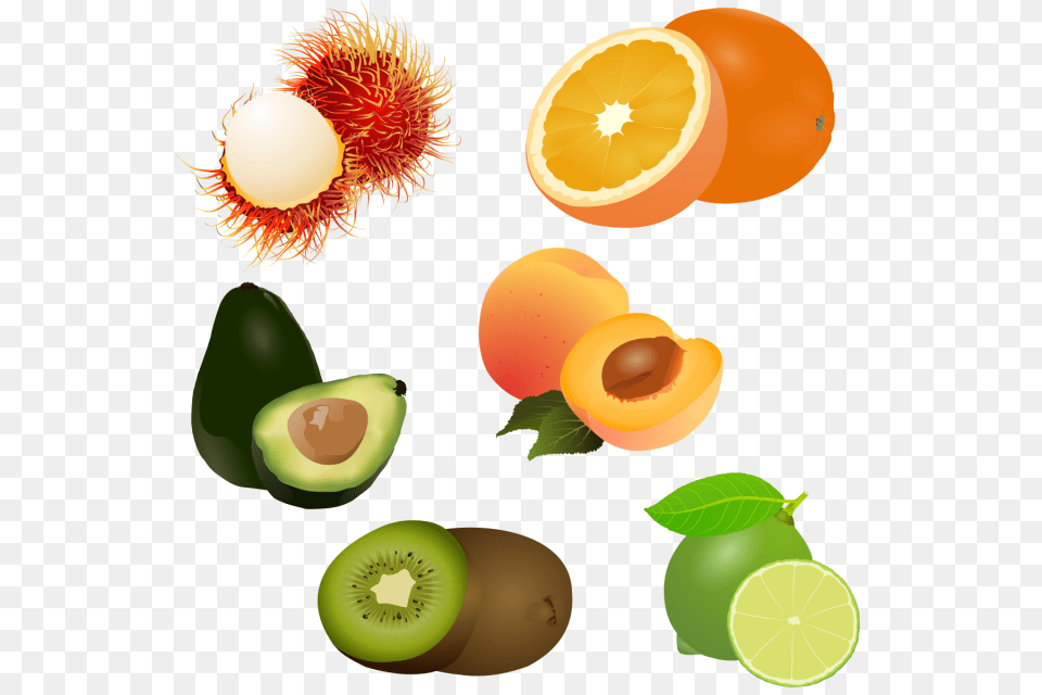 Of Fruit Set Drawing Stock Fruit Logo Set Clipart, Food, Plant, Produce, Citrus Fruit Png Image