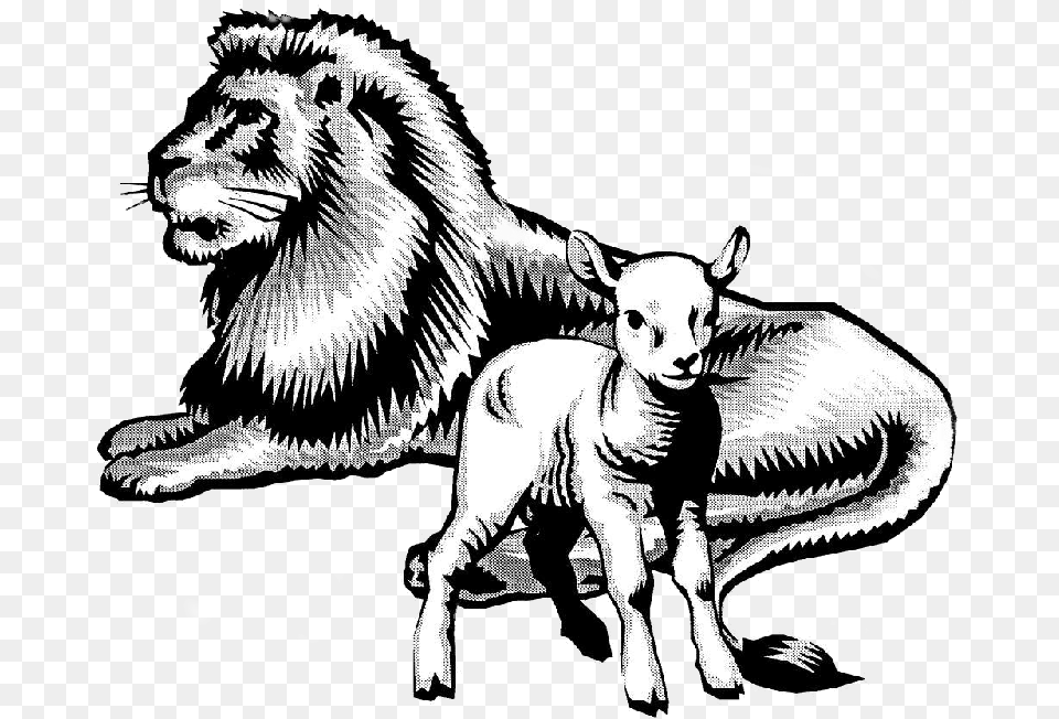 Of God39s Word And The Redemptive Power Of Christ, Animal, Dinosaur, Reptile, Lion Free Transparent Png