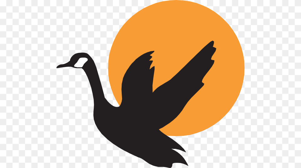 Of Goose Icon Clipart, Animal, Bird, Waterfowl, Silhouette Free Png