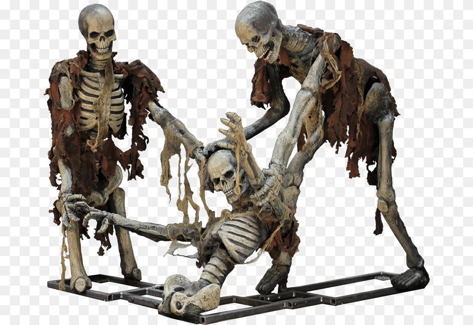 Of Hanging Skeleton Download Figurine, Person, Man, Male, Adult Png Image