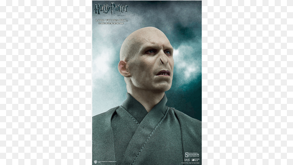 Of Harry Potter Lord Voldemort 16 Scale Action Figure, Adult, Portrait, Photography, Person Free Png Download