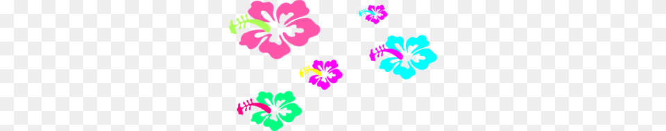 Of Images Icon Cliparts, Flower, Hibiscus, Plant, Face Free Png Download