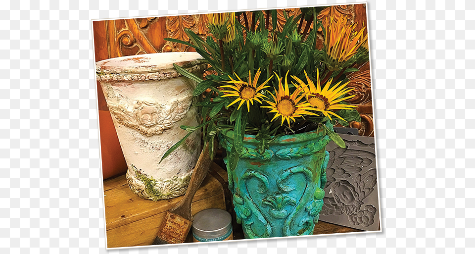 Of Italian Terracotta Pots Gazania, Plant, Potted Plant, Jar, Pot Png Image