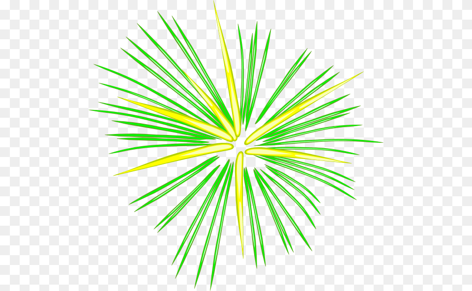 Of July Fireworks Clipart, Plant, Tree Free Png