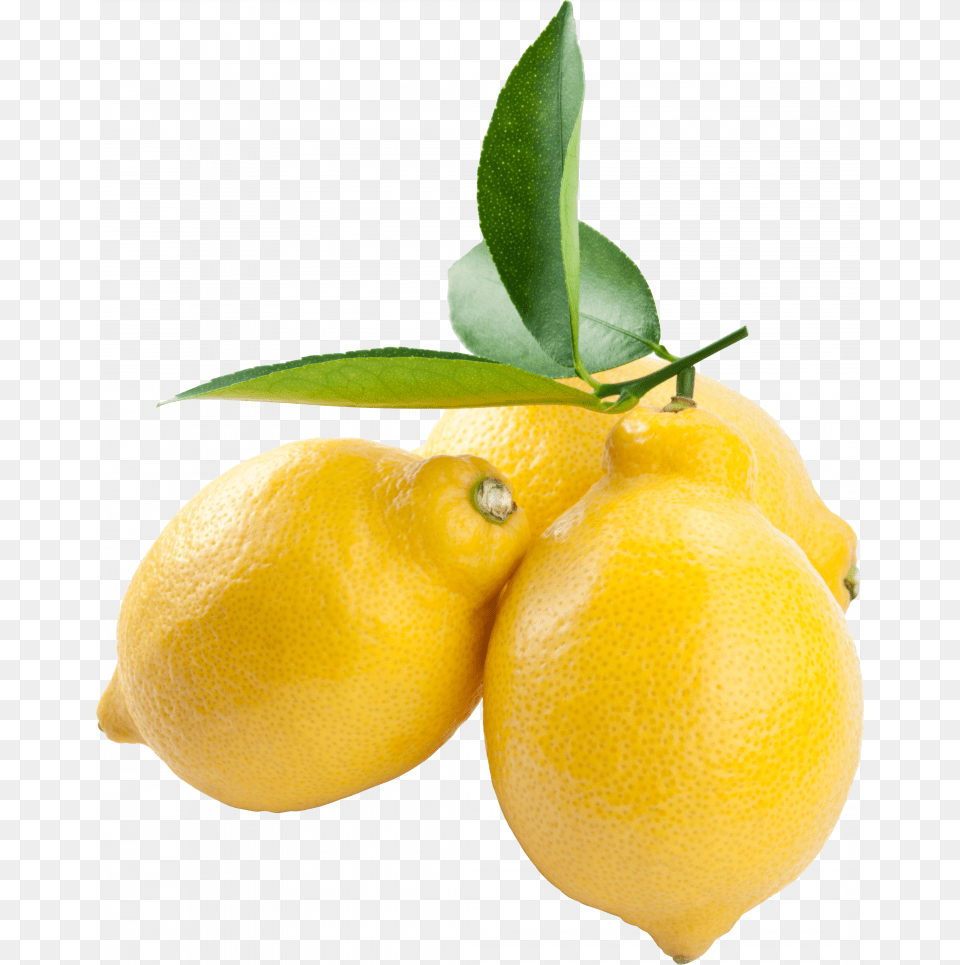 Of Lemon Icon Lemon Background Fruit, Citrus Fruit, Food, Plant, Produce Free Png Download