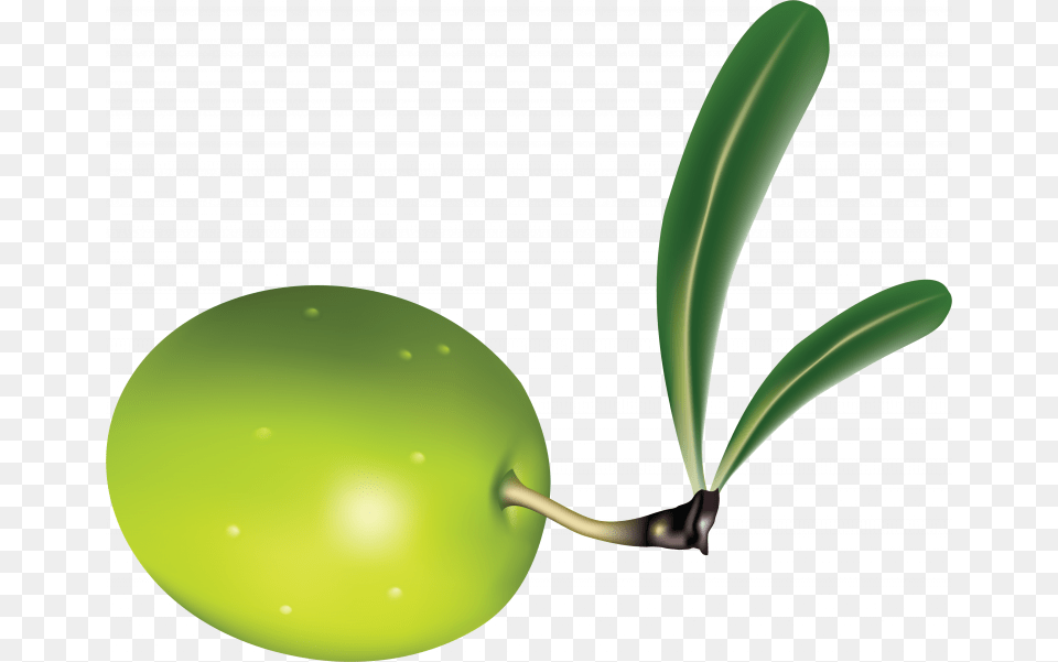 Of Olives In Transparent Transparent Background Olive Leaf Clipart, Plant, Food, Fruit, Produce Free Png Download