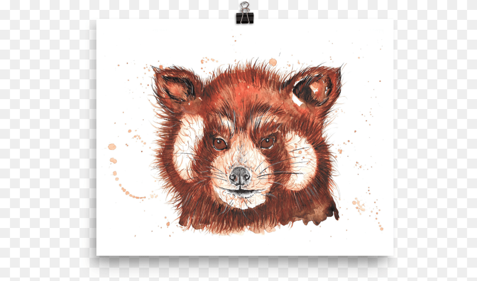 Of Red Panda Red Fox, Animal, Lion, Mammal, Wildlife Free Png