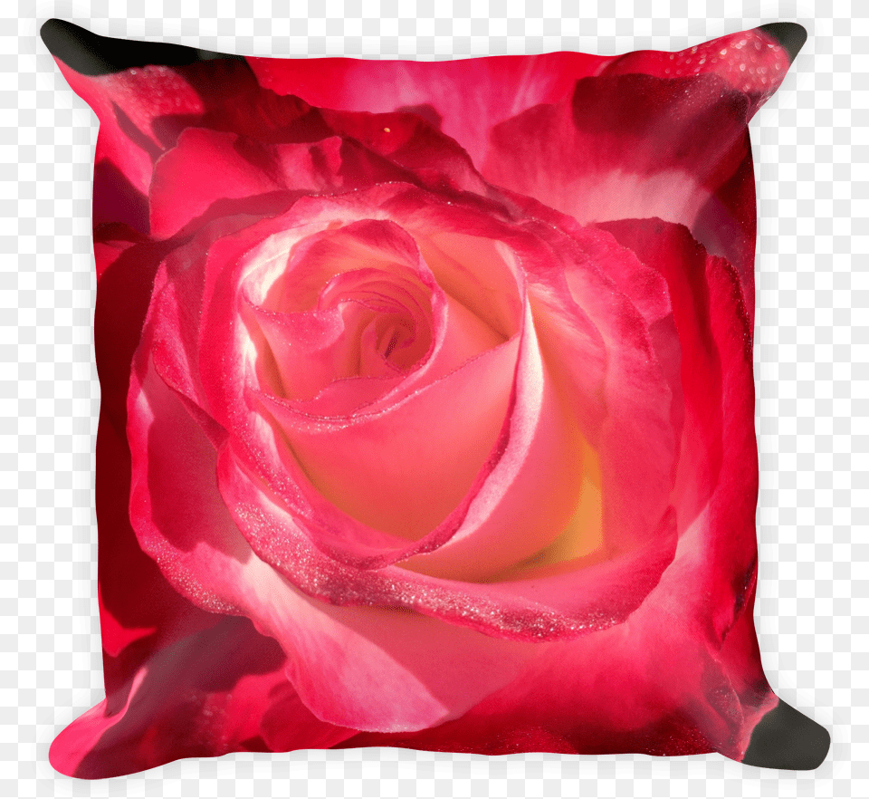 Of Rose Bud Pillow Pillow, Cushion, Flower, Home Decor, Plant Free Png Download