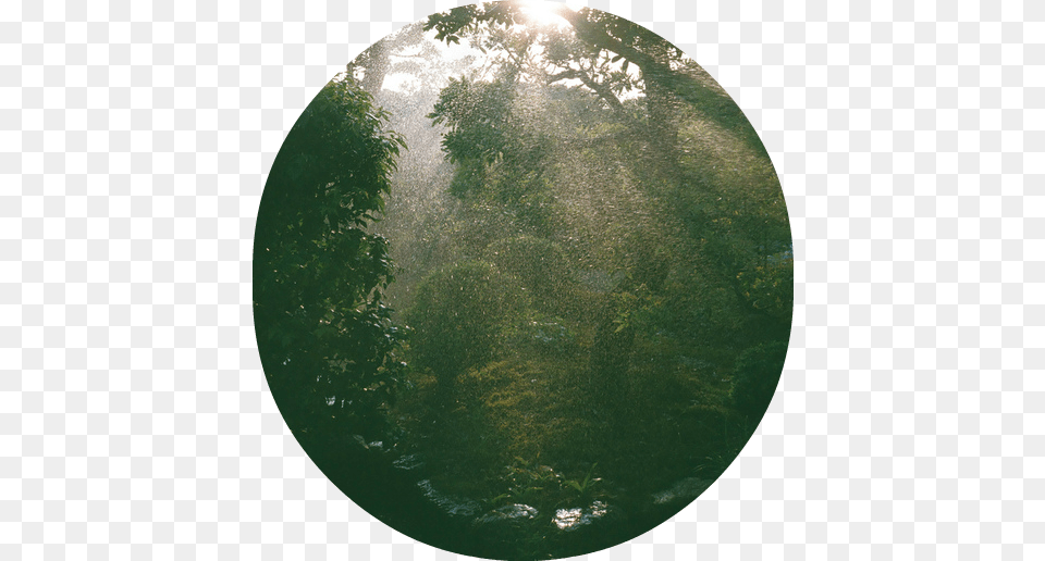 Of Silence Nature Tumblr, Photography, Sphere, Vegetation, Plant Png Image