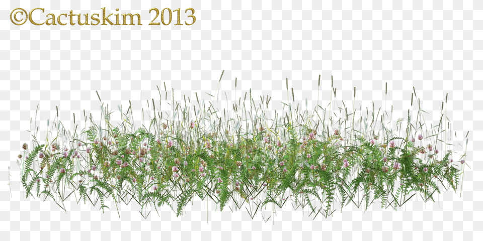 Of Some Wildflowers Flowers In Grass, Plant, Moss, Vegetation, Agropyron Png Image