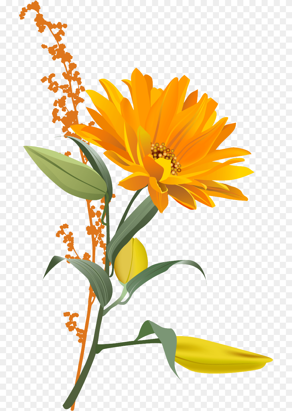 Of Sunflower Icon Clipart Background Orange Flower, Plant, Petal, Anther, Daisy Free Transparent Png