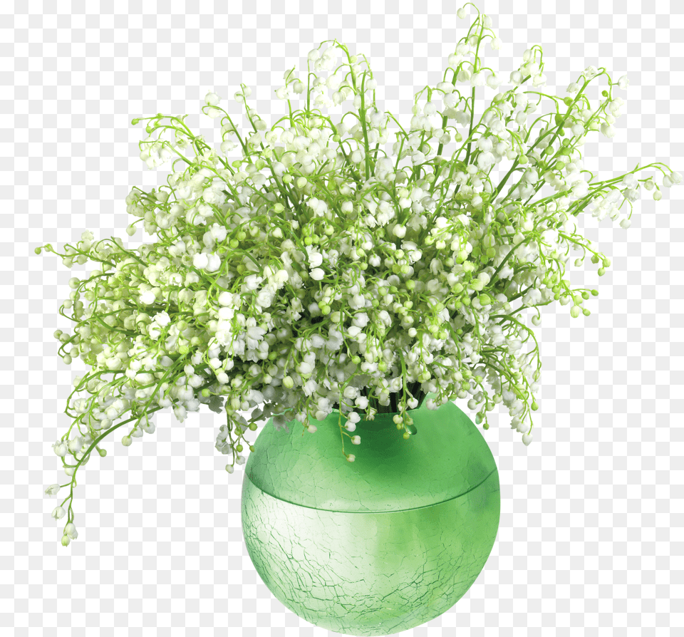 Of The Valleyin Vase Lily Of The Valley In A Vase Free Png