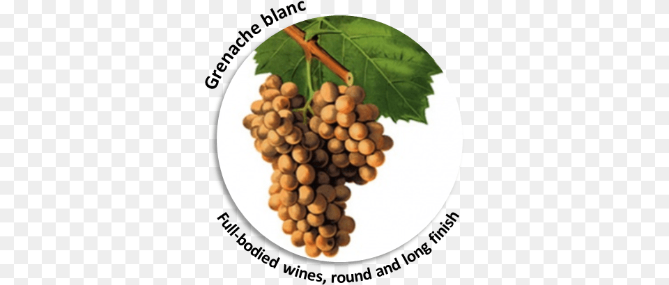Of The Wine Making Process Secrets And Results Grenache Blanc Cepage, Food, Fruit, Grapes, Plant Free Transparent Png