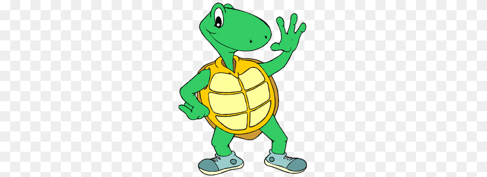 Of Turtle Icon Clipart, Baby, Person Png Image