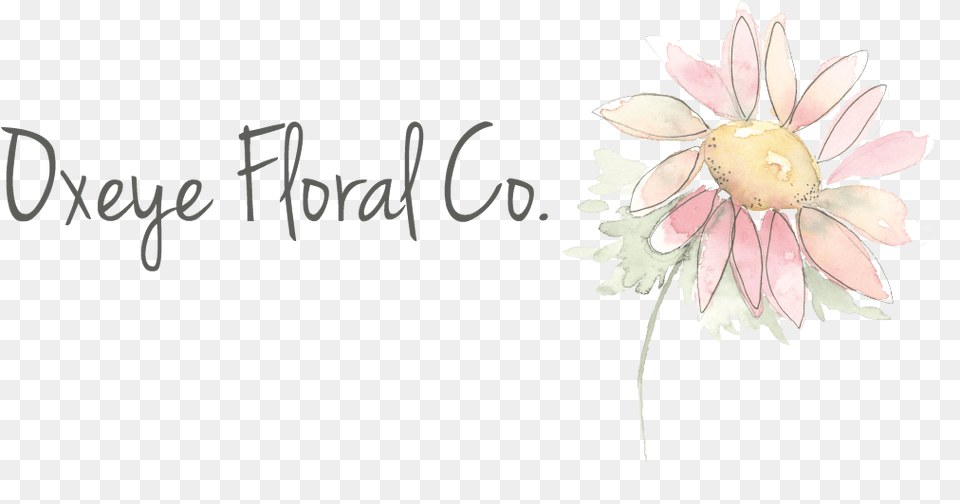 Off Any Order Artificial Flower, Plant, Petal, Anther, Dahlia Free Png Download