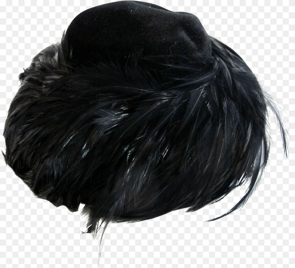 Off During Sale Lace Wig, Animal, Bird, Vulture, Adult Free Png