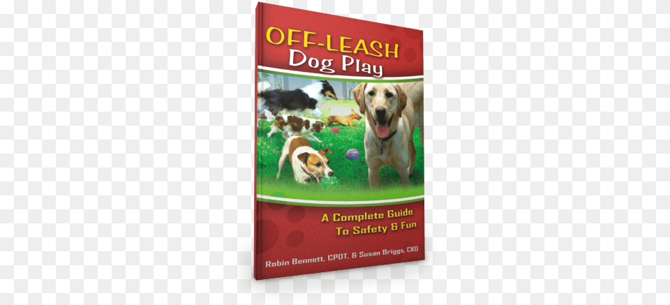 Off Leash Dog Play Off Leash Dog Play By Robin Bennett, Animal, Pet, Mammal, Hound Free Png