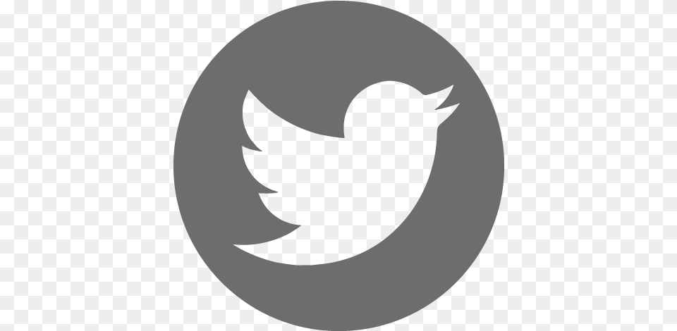 Off The Jet Set Radio Square Black Twitter Icon, Silhouette, Logo, Animal, Bird Free Png Download