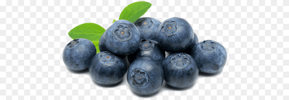 Off Today Blueberry, Berry, Food, Fruit, Plant Free Png