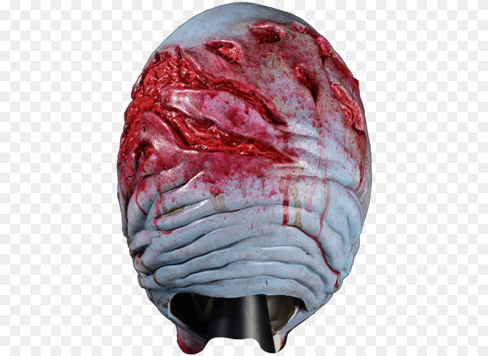 Offal, Helmet, Alien, Crash Helmet, Person Png Image