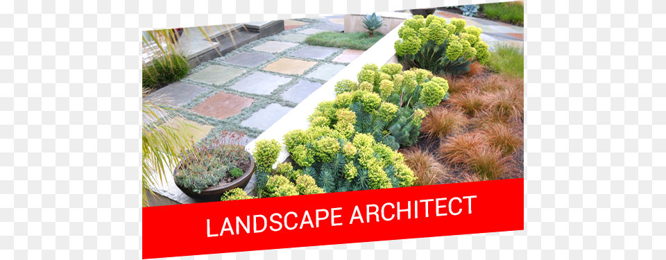 Offer Banner6 Landscape Design, Backyard, Vegetation, Plant, Outdoors Png