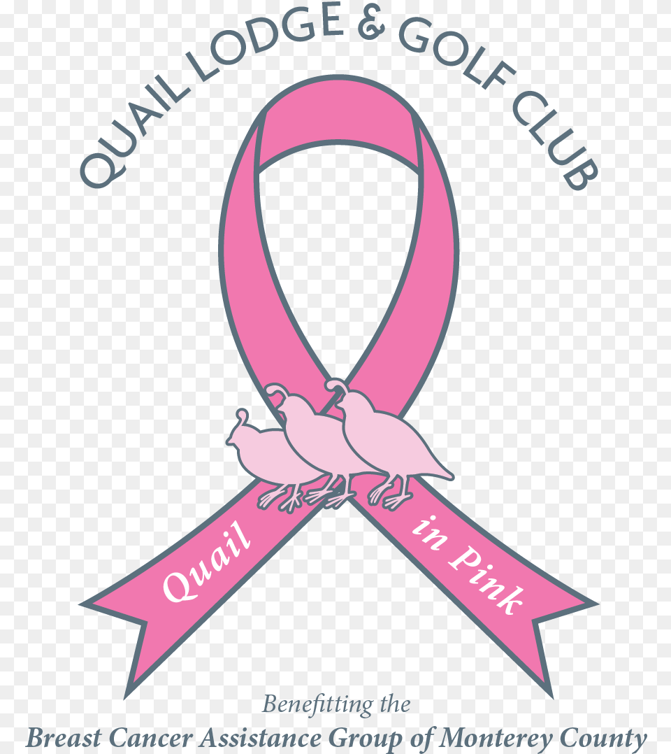 Offers The Breast Cancer Awareness Month, Animal, Bird Free Transparent Png