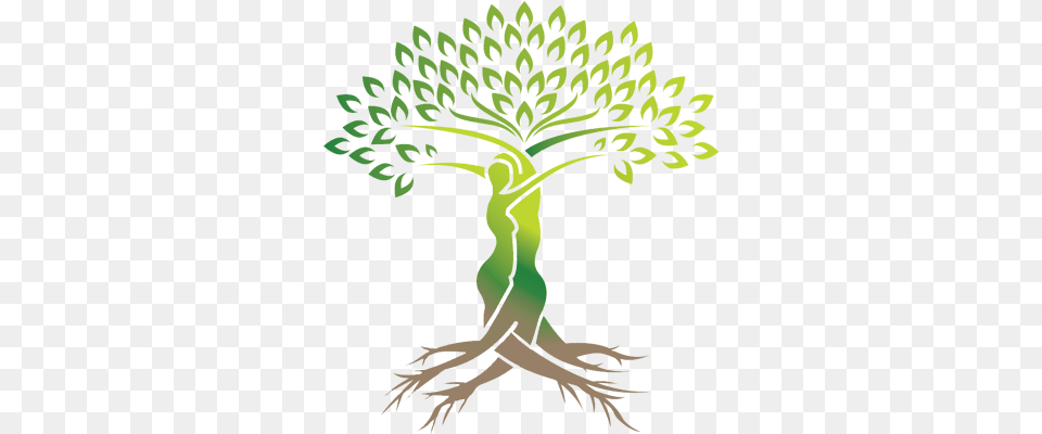 Office Gynecology Tree Of Life, Green, Plant, Vegetation, Person Free Png