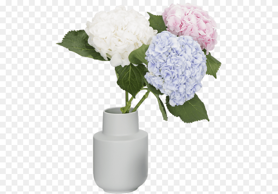 Office Hydrangea, Flower, Pottery, Plant, Jar Free Png Download