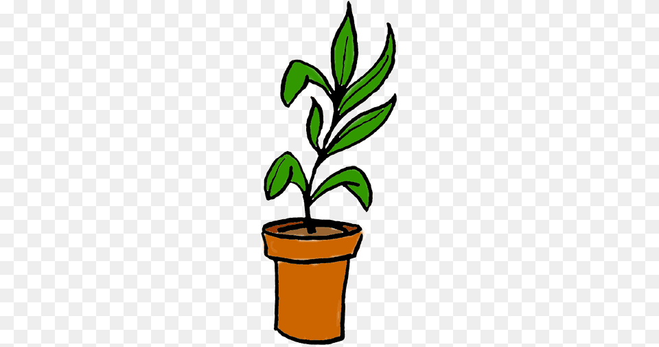 Office Plant Cliparts, Leaf, Potted Plant, Tree, Herbal Free Png Download