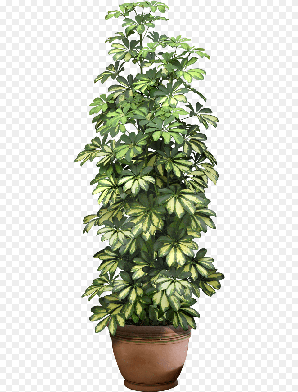 Office Plant Transparent Background House Plant, Leaf, Potted Plant, Tree, Herbs Free Png