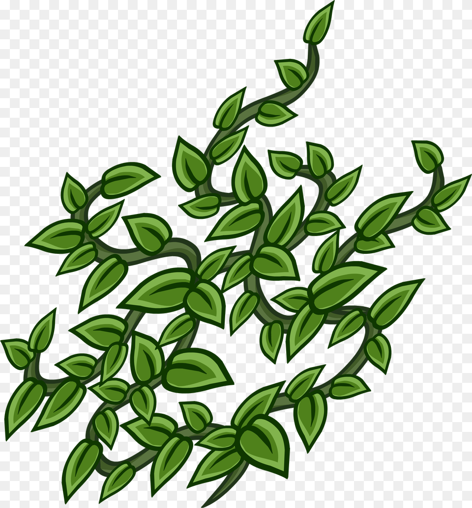 Official Club Penguin Online Wiki Common Sage, Art, Plant, Pattern, Leaf Free Png