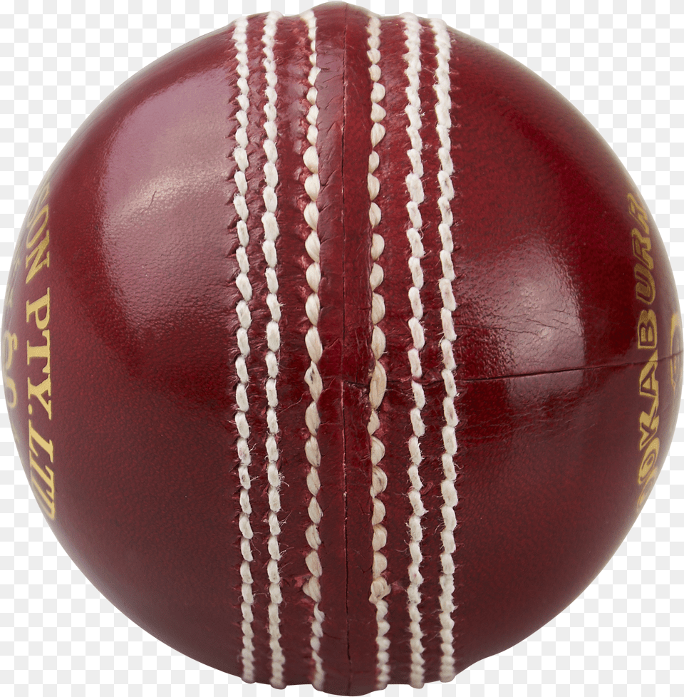 Official Kookaburra Turf Cricket Ball Cricket Ball Ball Images Vector Hd Free Png Download