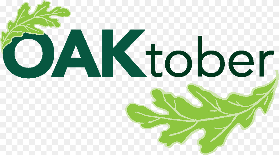 Official Oaktober Flyer Templates Chicago Region Trees Oaktober, Arugula, Vegetable, Produce, Plant Free Png Download